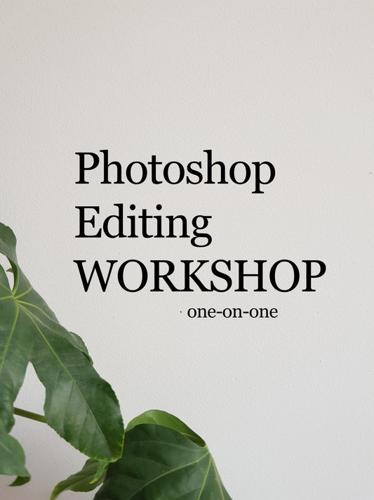 One-on-One Photoshop Workshop
